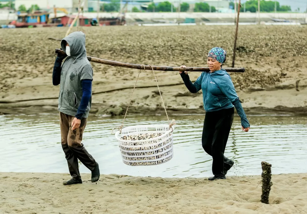 nông dân nguyễn thị biên