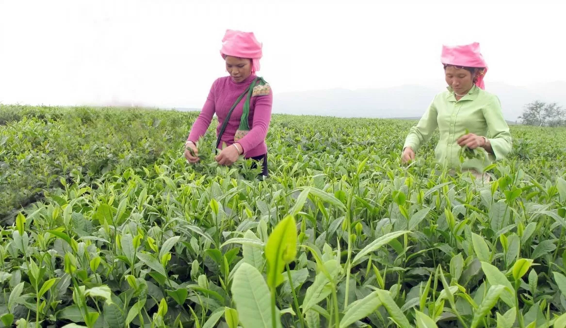 Lai Châu: Tháo gỡ khó khăn trong thực hiện Chương trình mục tiêu quốc gia