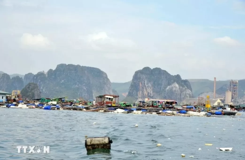 Thủ tướng chỉ đạo hỗ trợ vốn để người dân khôi phục sản xuất, kinh doanh sau bão