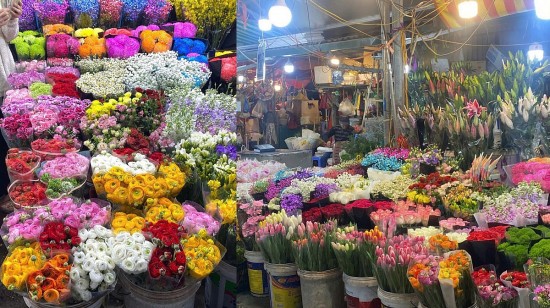 ha noi thi truong hoa tuoi dat khach ngay 2010
