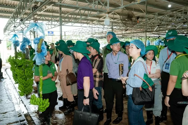 TTC AgriS sẽ đẩy mạnh tái cấu trúc tài chính, tập trung vào hoạt động lõi và thị trường FBMC toàn cầu