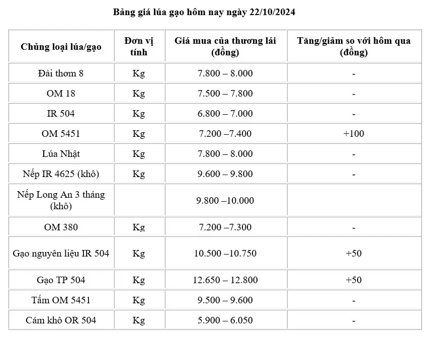 Giá lúa gạo hôm nay 22/10: Tăng nhẹ với mặt hàng lúa và gạo