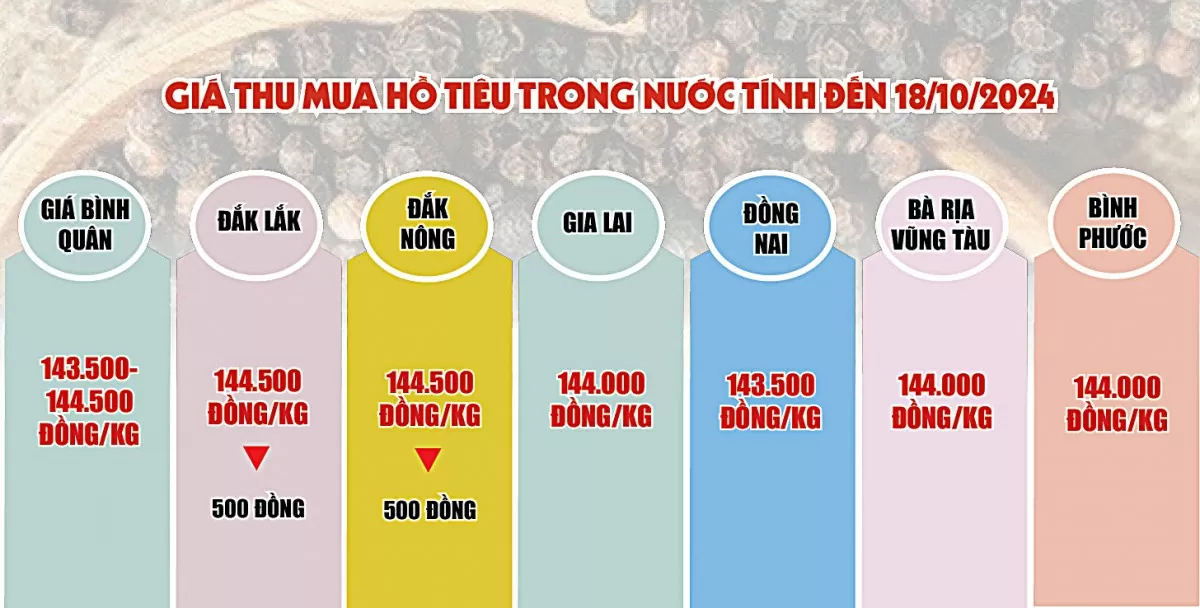 Infographic | Việt Nam là thị trường nhập khẩu hồ tiêu lớn từ Indonesia tháng 9/2024