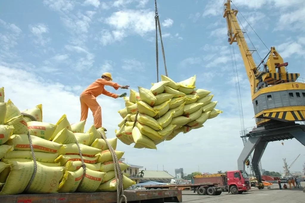 An Giang: Liên kết vùng để nâng cao năng lực xuất khẩu gạo