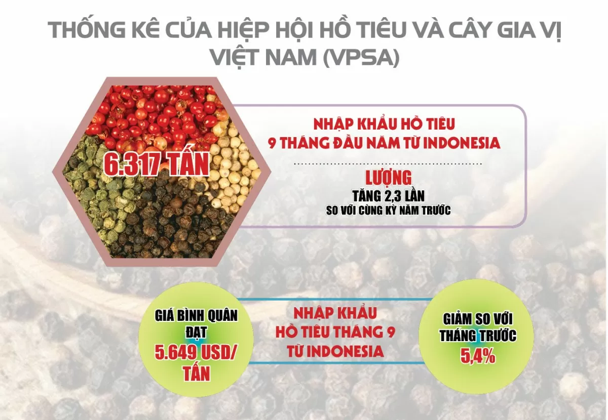 Infographic | Việt Nam là thị trường nhập khẩu hồ tiêu lớn từ Indonesia tháng 9/2024