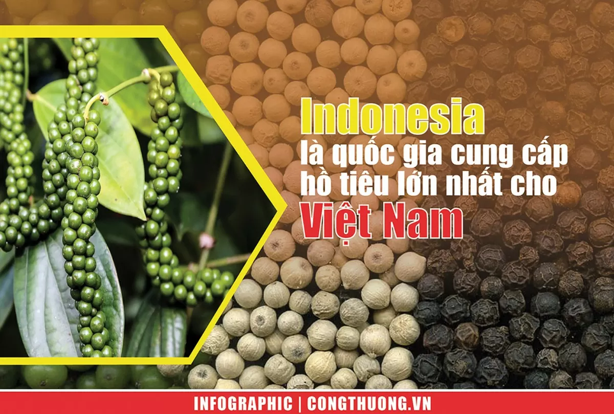 Infographic | Indonesia là quốc gia cung cấp hồ tiêu lớn nhất cho Việt Nam