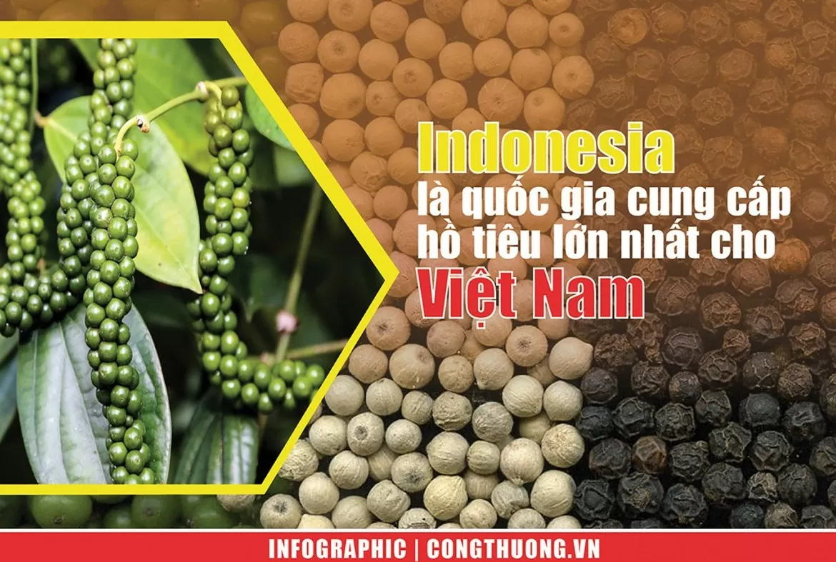 Infographic | Indonesia là quốc gia cung cấp hồ tiêu lớn nhất cho Việt Nam