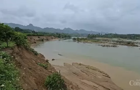 Tuyên Quang: Dừng hoạt động khai thác cát, sỏi lòng sông Gâm của một doanh nghiệp