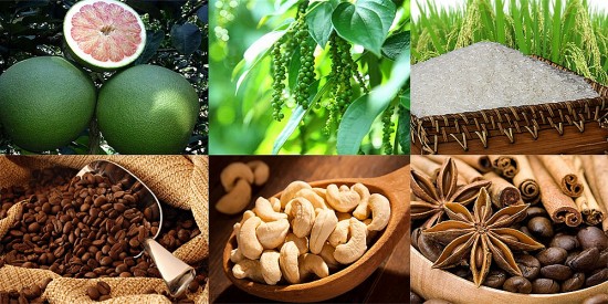 co hoi de doanh nghiep viet nam tiep can thi truong senegal