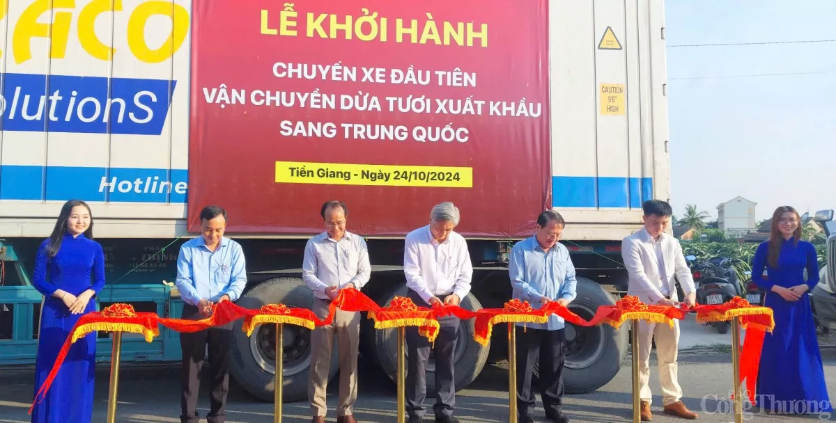 Tiền Giang xuất khẩu lô dừa tươi đầu tiên sang Trung Quốc