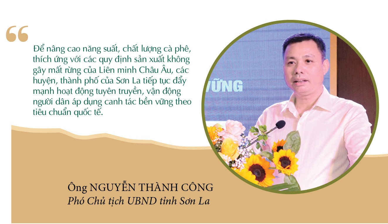 Longform | Xây dựng chuỗi liên kết, nâng cao giá trị cà phê Sơn La