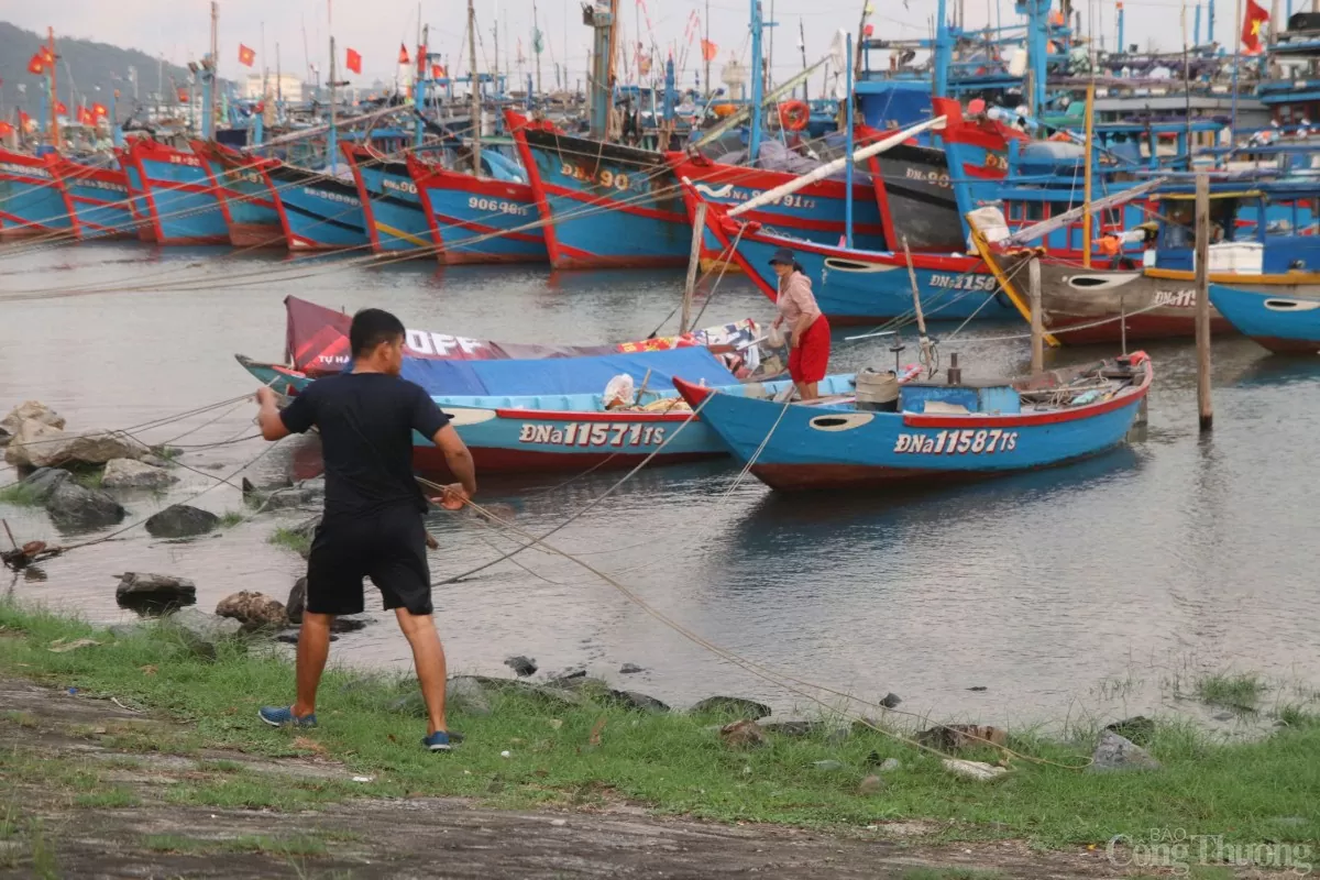 Ngư dân tại TP. Đà Nẵng neo đậu tàu thuyền vào nơi an toàn. Ảnh: Khánh Ly.