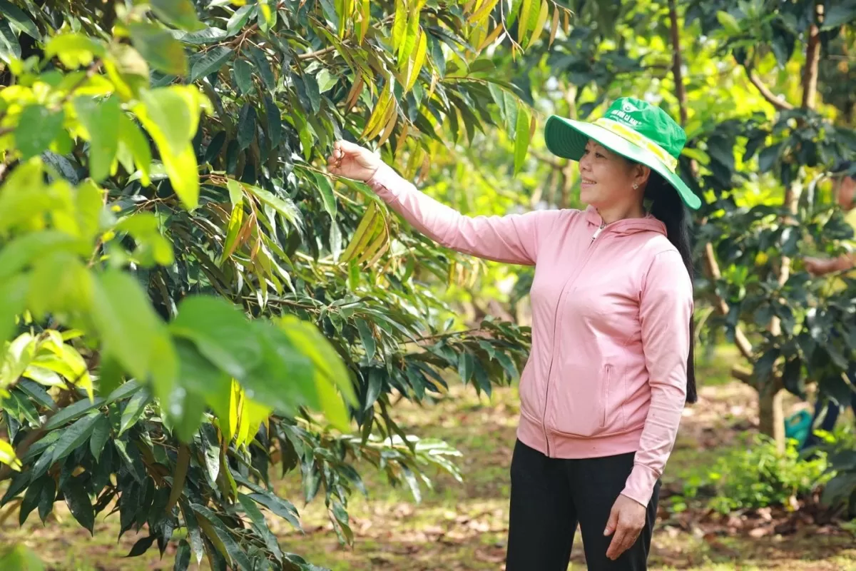 Nông dân gặt hái mùa vàng nhờ áp dụng 'Bí kíp' nông nghiệp trên nền tảng số