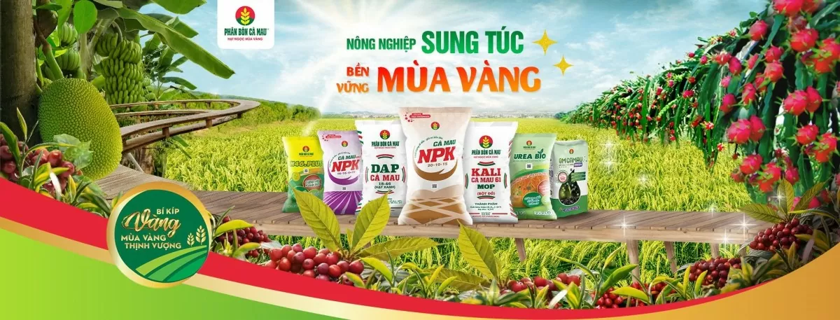 Nông dân gặt hái mùa vàng nhờ áp dụng 'Bí kíp' nông nghiệp trên nền tảng số