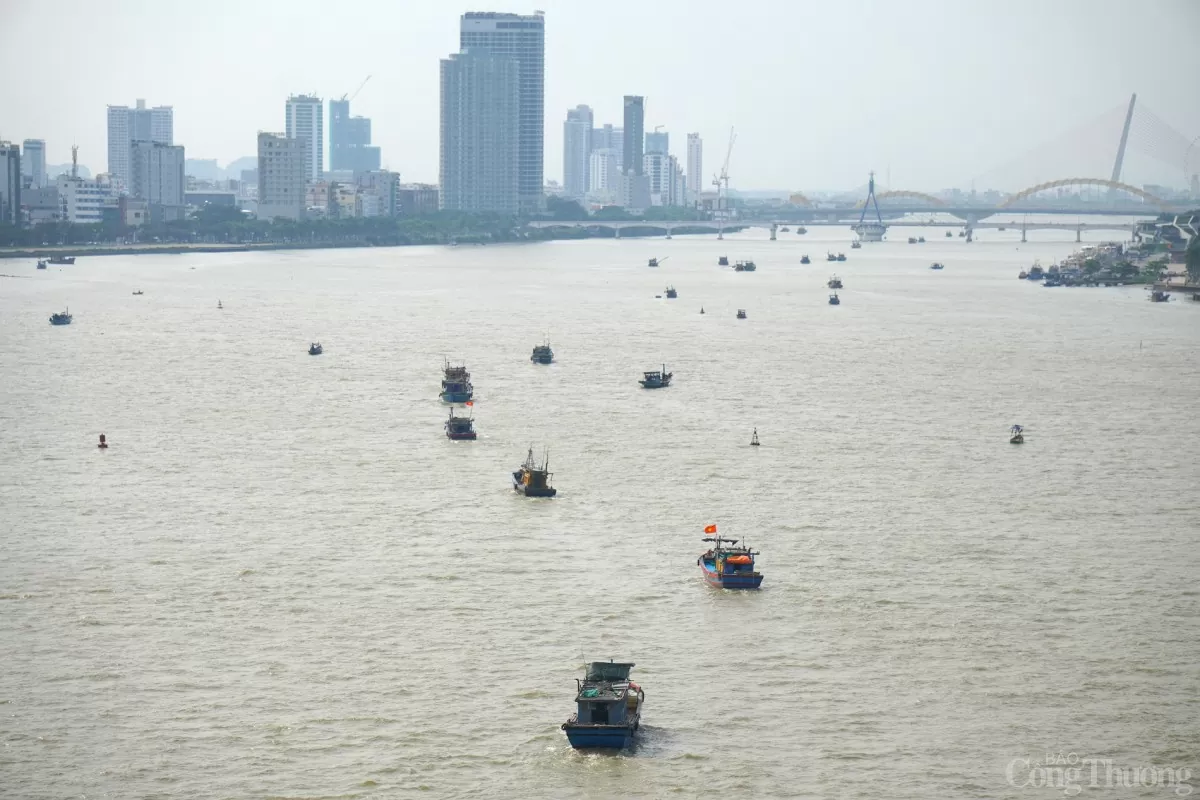 Đà Nẵng: Tàu cá nối đuôi nhau vào bờ tránh bão Trà Mi