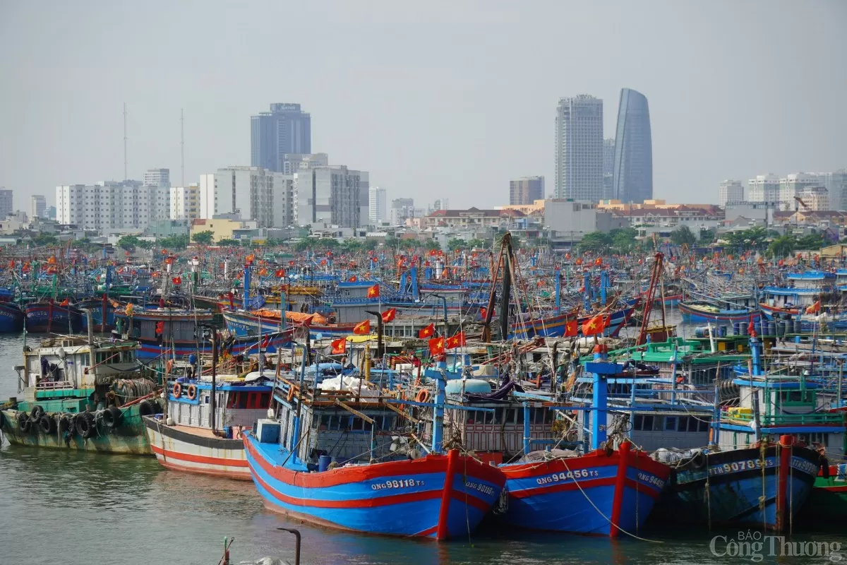 Đà Nẵng: Tàu cá nối đuôi nhau vào bờ tránh bão Trà Mi