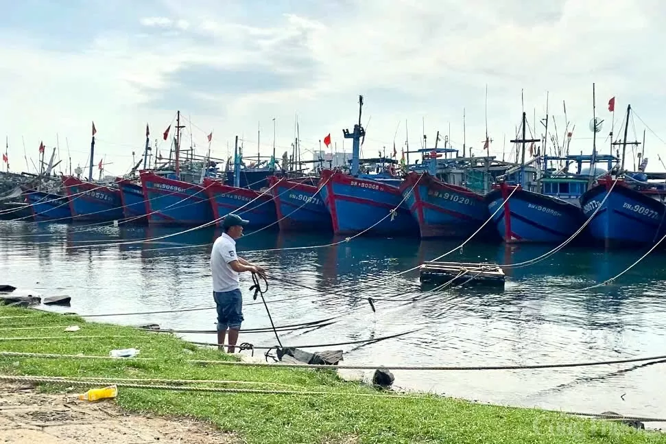 Đà Nẵng: Tàu cá nối đuôi nhau vào bờ tránh bão Trà Mi