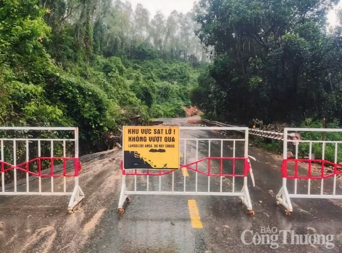 Đà Nẵng: Tiềm ẩn nguy cơ sạt lở trên núi Sơn Trà trước bão số 6