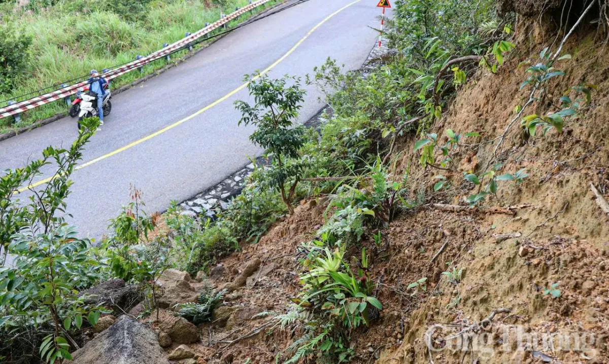 Đà Nẵng: Tiềm ẩn nguy cơ sạt lở trên núi Sơn Trà trước bão số 6