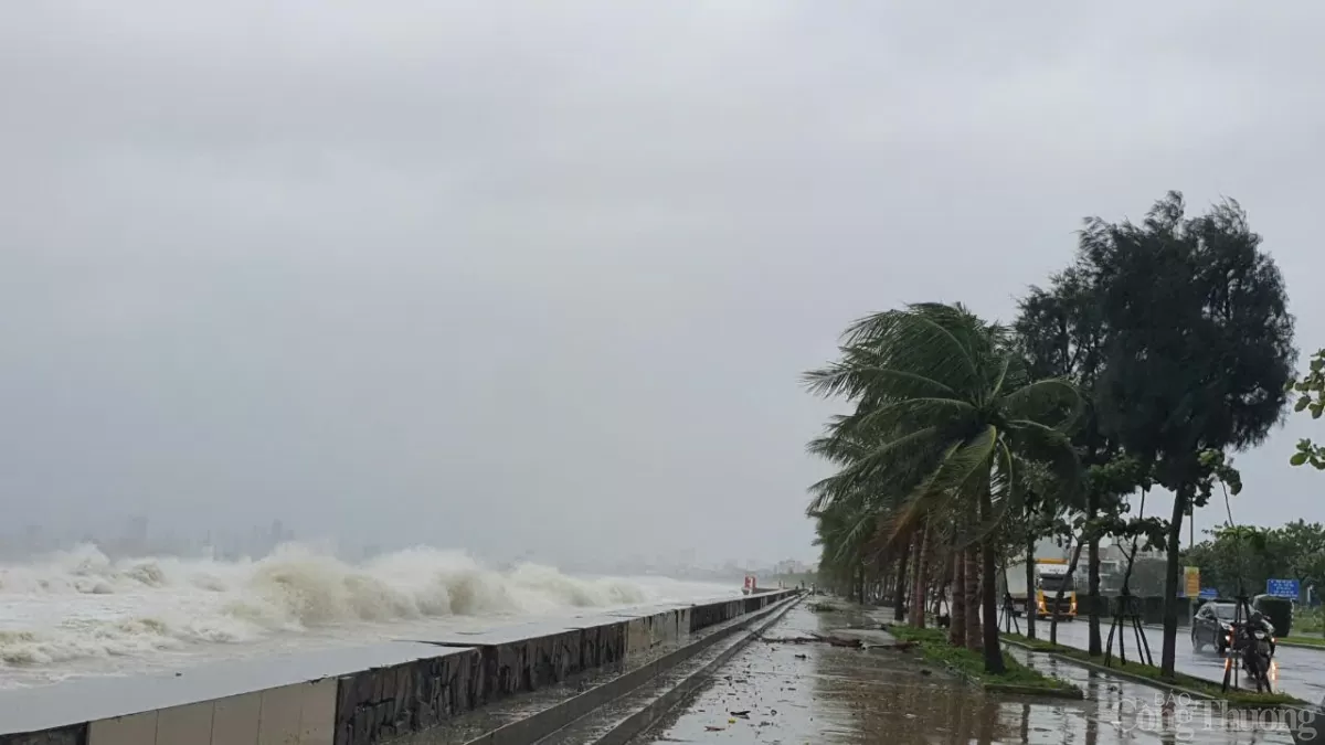 Bão số 6 tại Đà Nẵng: Gió mạnh, sóng biển dữ dội, cây xanh, biển hiệu đổ hàng loạt