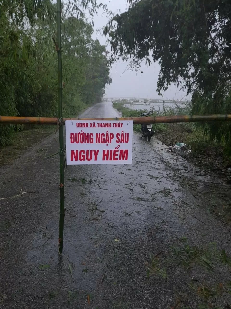 Lệ Thuỷ - Quảng Bình: Nước bao vây tứ phía, người dân hối hả chạy lũ