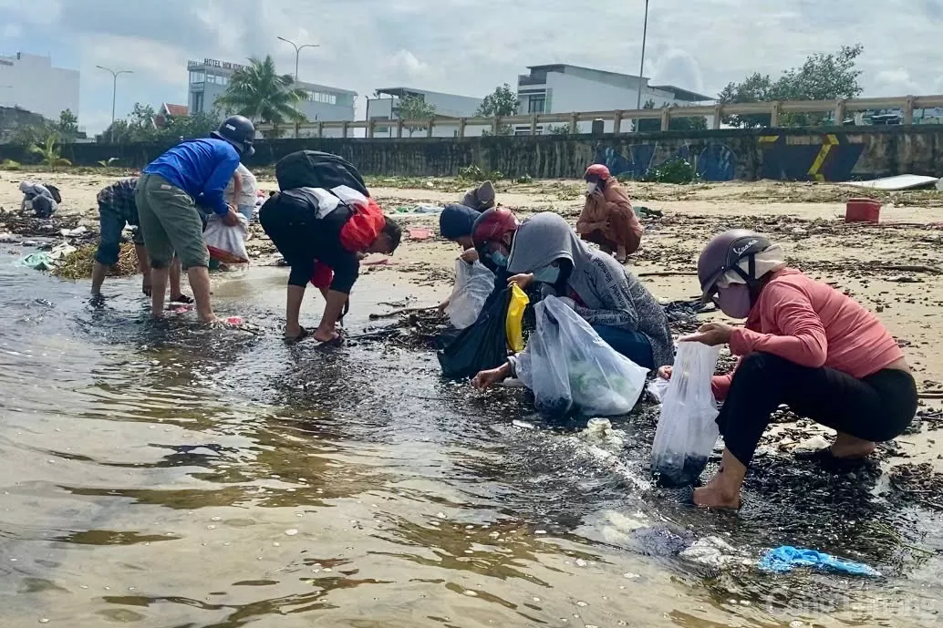 Nhiều người dân đổ xô ra nhặt vẹm