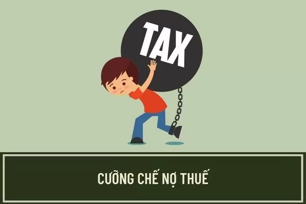 Hà Giang: Cưỡng chế thuế, ngừng sử dụng hóa đơn Công ty TNHH Bảo An