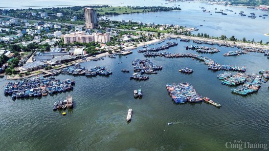 sap dien ra giao ban thuong vu voi trong tam ve de an khu thuong mai tu do da nang