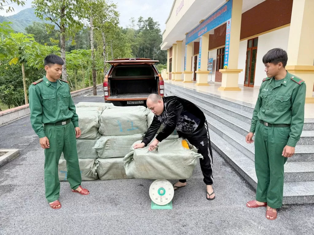 Quảng Ninh: Phát hiện xe bán tải chở 900kg nầm lợn không rõ nguồn gốc