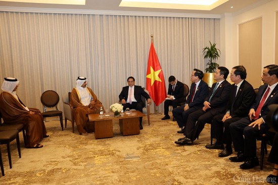 thu tuong viet nam sua doi luat dien luc de thuan loi cho hoat dong hop tac voi doanh nghiep nuoc ngoai