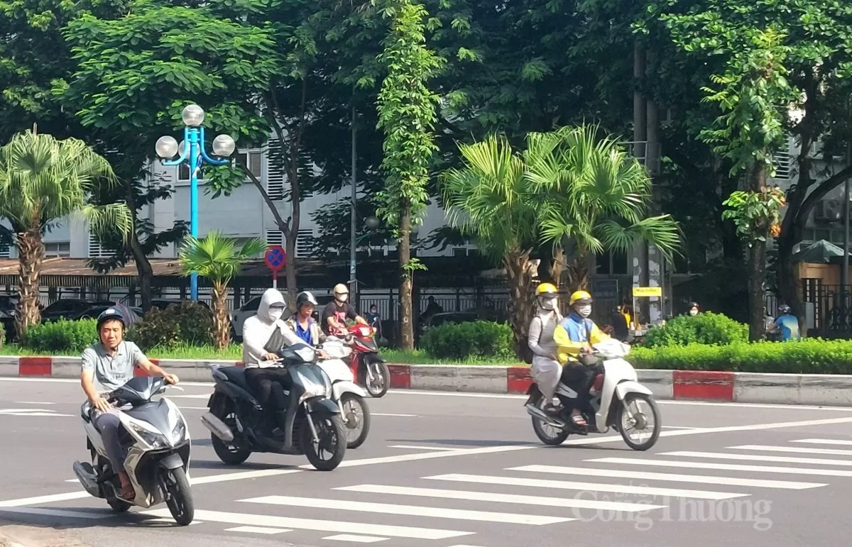 Dự báo thời tiết ngày mai 2/11/2024: Ngày nắng; Gió Đông Bắc mạnh, Bắc và Trung Trung Bộ sắp mưa lớn