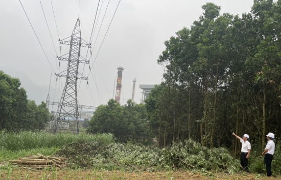 tuyen quang quyet liet dam bao hanh lang an toan luoi dien