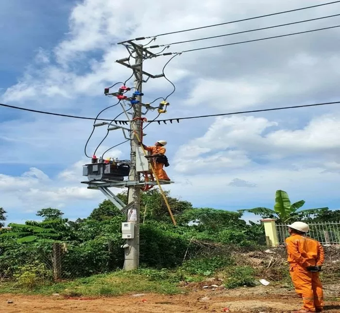 Hoàn thiện công trình lưới điện trung hạ áp khu vực Chư Prông, Gia Lai