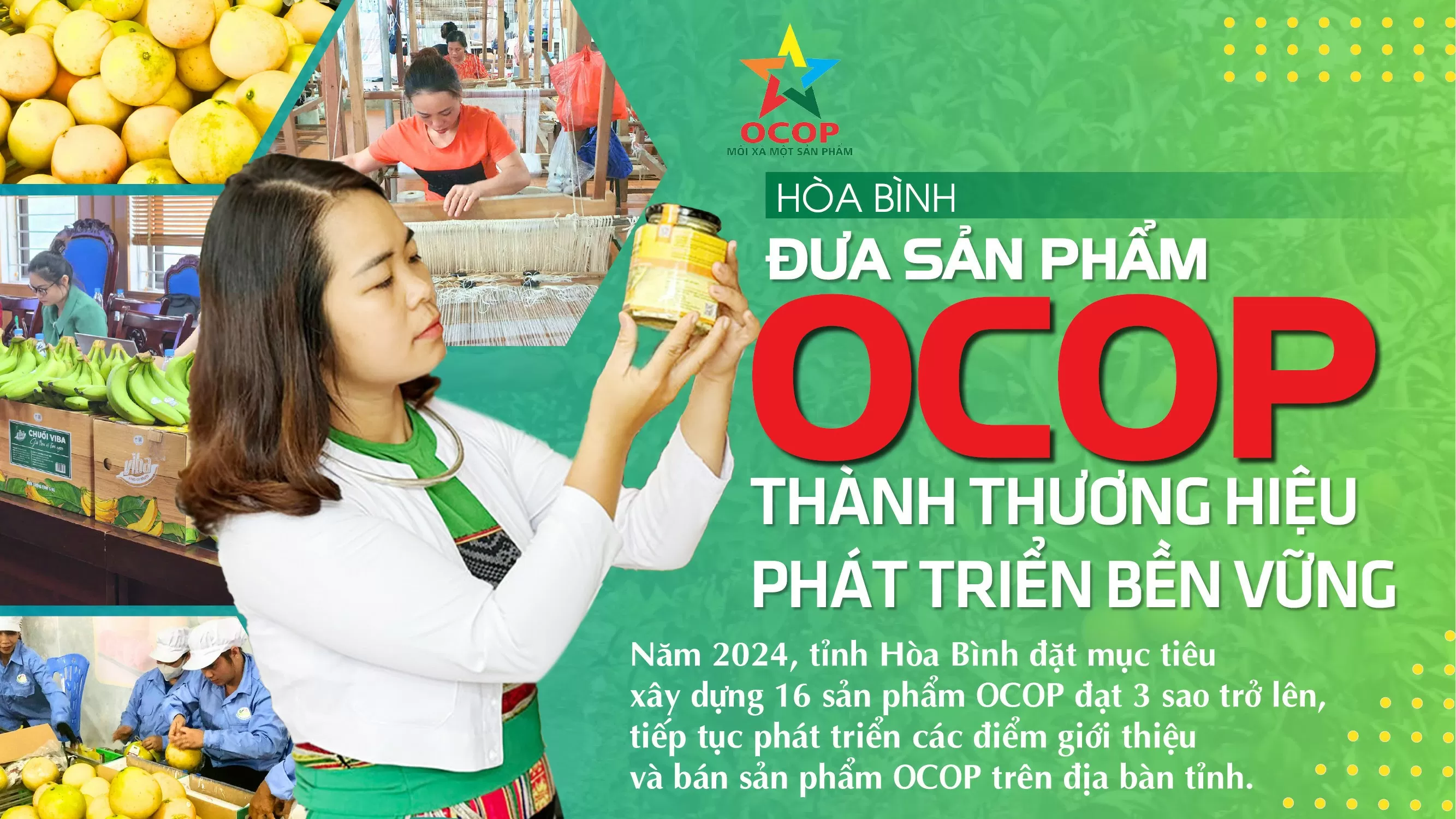 Hòa Bình: Đưa sản phẩm OCOP thành thương hiệu phát triển bền vững