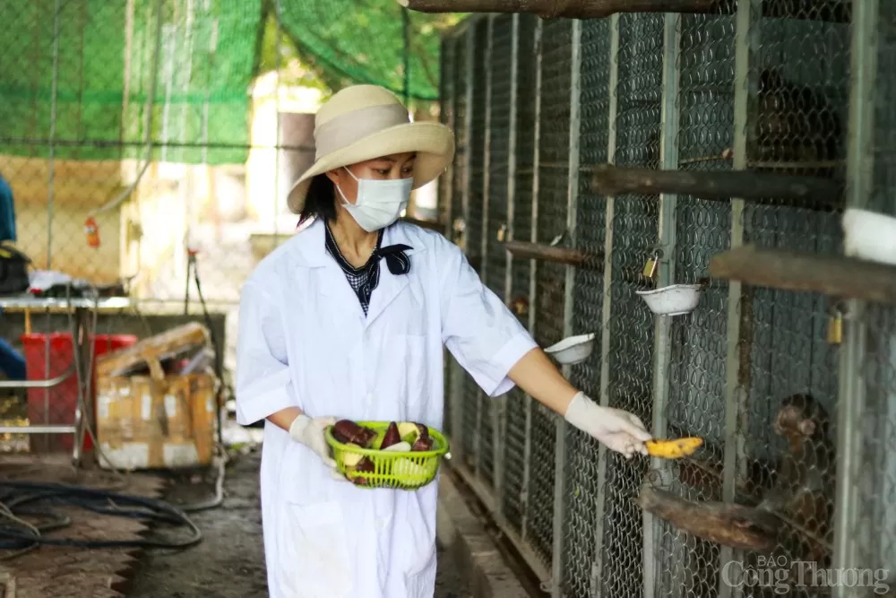 Những vị “bác sĩ” tận tụy chăm sóc thú rừng hoang dã