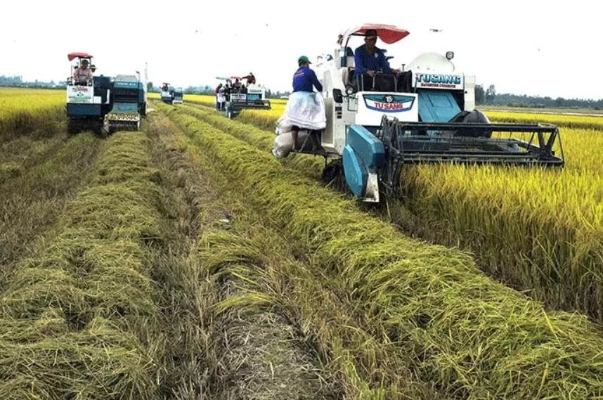 Cần Thơ: Hướng đến nền nông nghiệp an toàn, bền vững