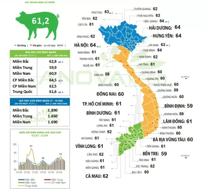 Giá heo hơi hôm nay 4/11/2024: