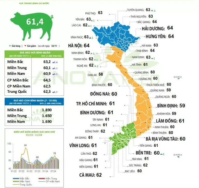 Giá heo hơi hôm nay 5/11/2024: