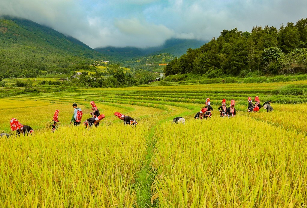 Quảng Ninh: Sẵn sàng Đại hội đại biểu các dân tộc thiểu số cấp tỉnh lần thứ IV, năm 2024