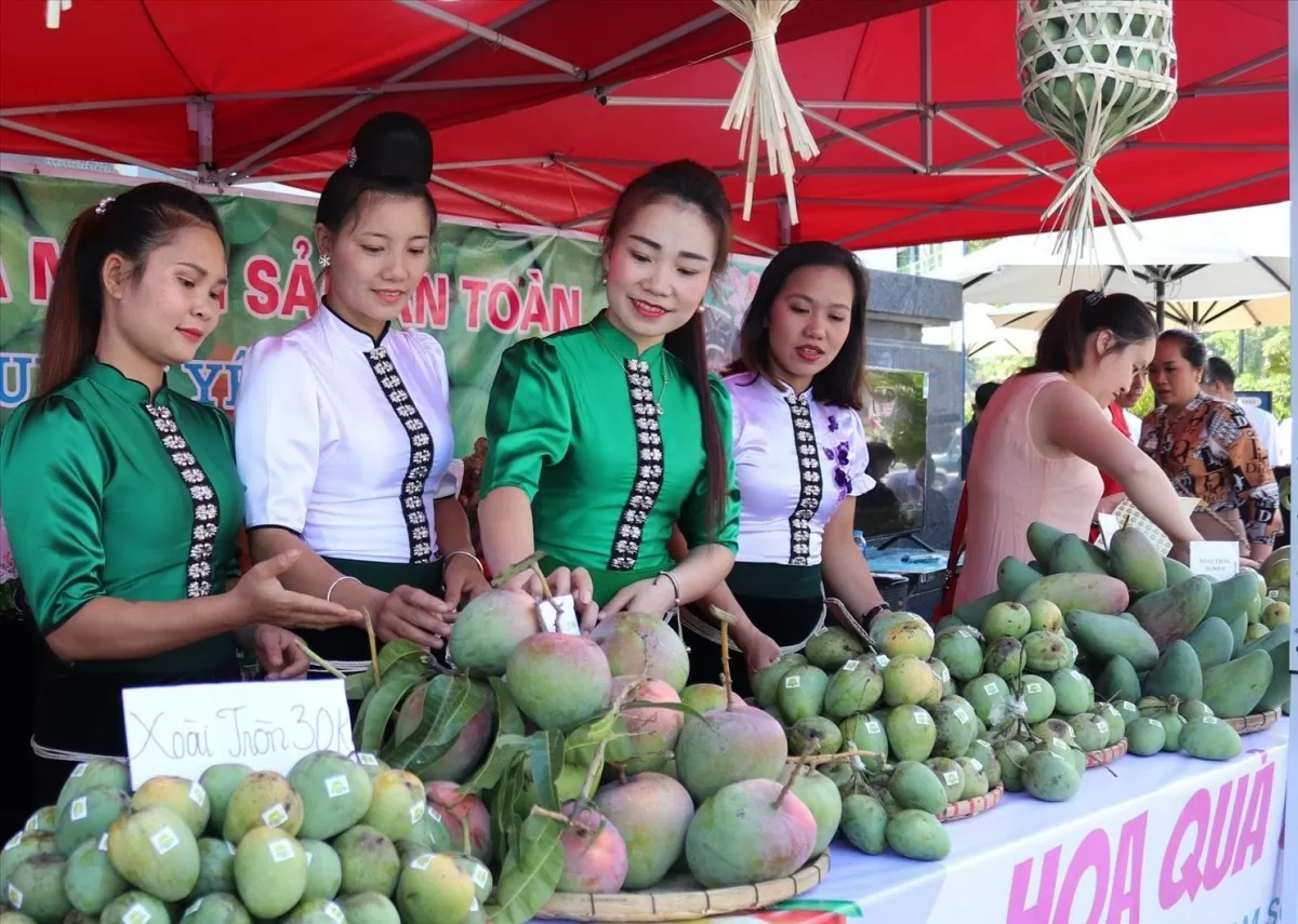 Sơn La: Xây dựng chuỗi liên kết tiêu thụ nông sản bền vững