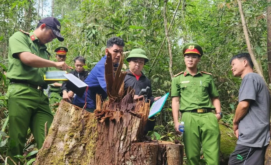 lam dong tam giu nhan vien quan ly bao ve rung cau ket voi lam tac khai thac lam san trai phep