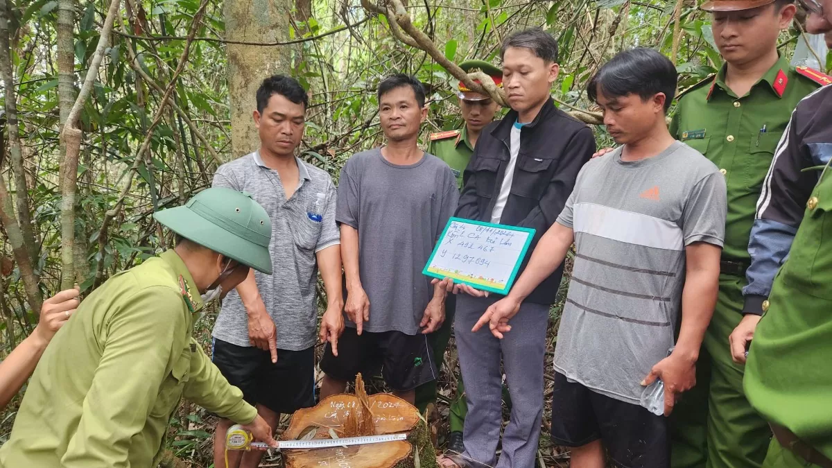 tạm giữ nhân viên bảo vệ rừng