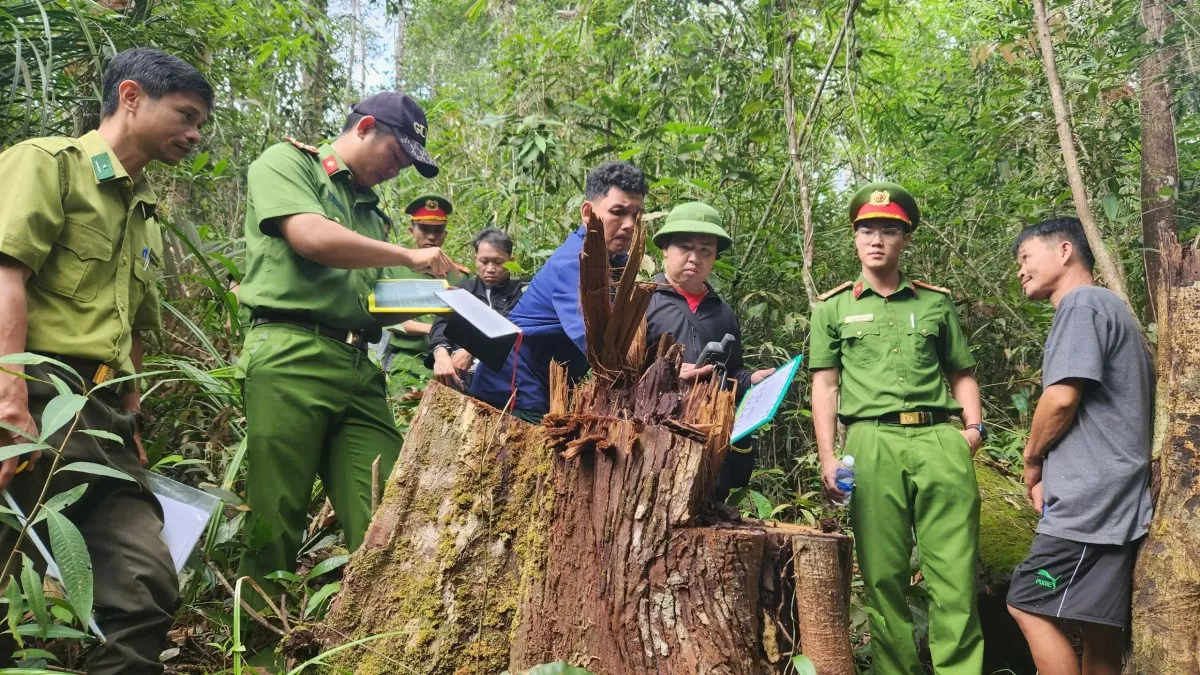 tạm giữ nhân viên bảo vệ rừng