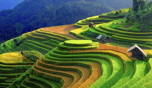 Tỉnh Yên Bái