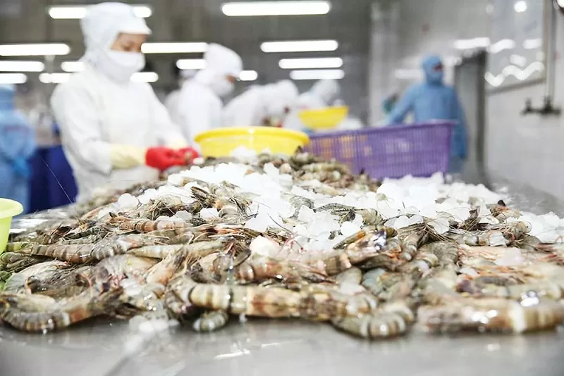 Giải pháp ứng phó lừa đảo trong giao dịch thương mại tại thị trường Hoa Kỳ