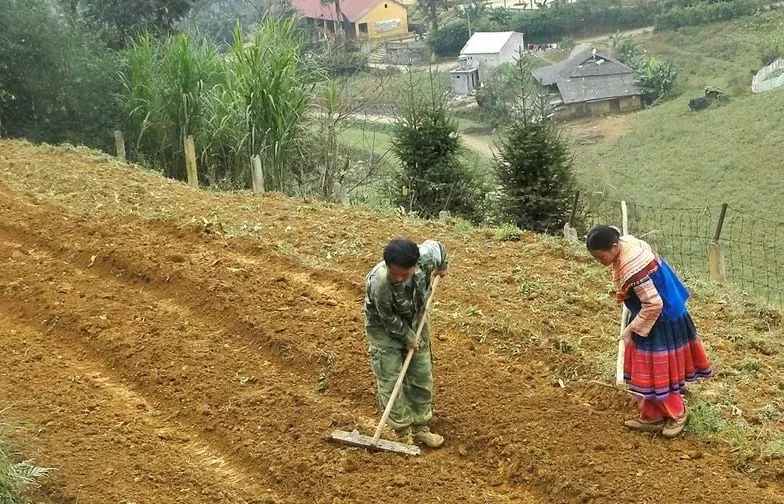 Lào Cai: Hỗ trợ đất đai đối với đồng bào dân tộc thiểu số