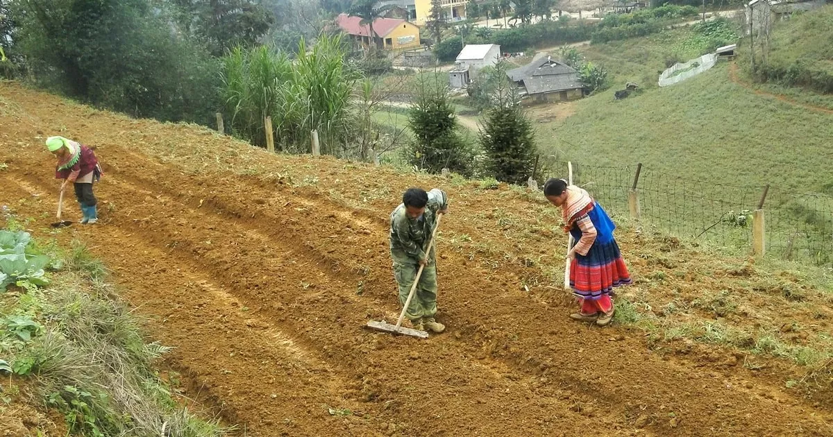 Lào Cai: Hỗ trợ đất đai đối với đồng bào dân tộc thiểu số