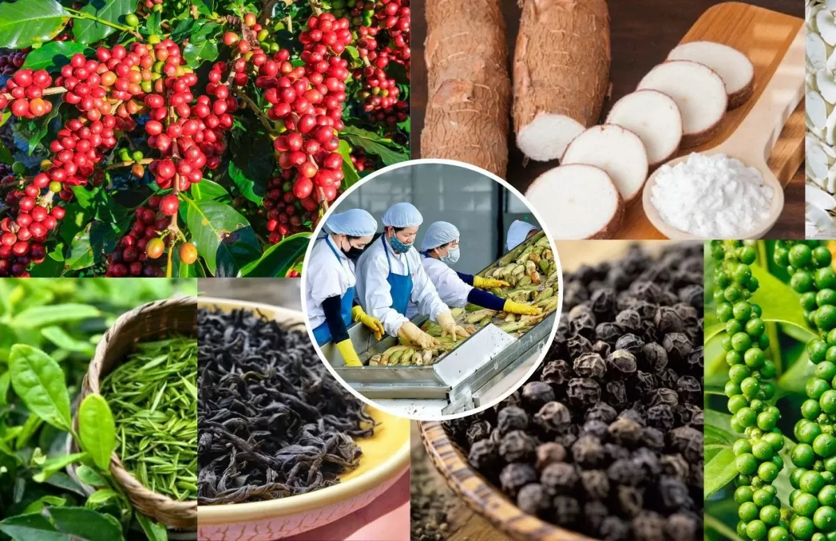 Hiệp định EVFTA -