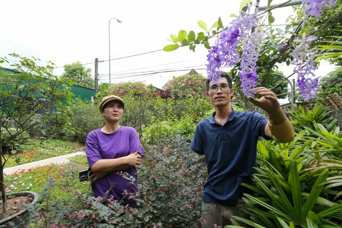 Khu vườn ‘chữa lành’ của chàng thạc sĩ ‘chim cánh cụt’