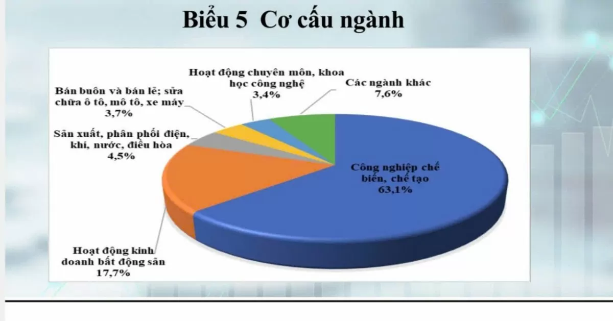 Công nghiệp chế biến, chế tạo hấp dẫn dòng vốn FDI